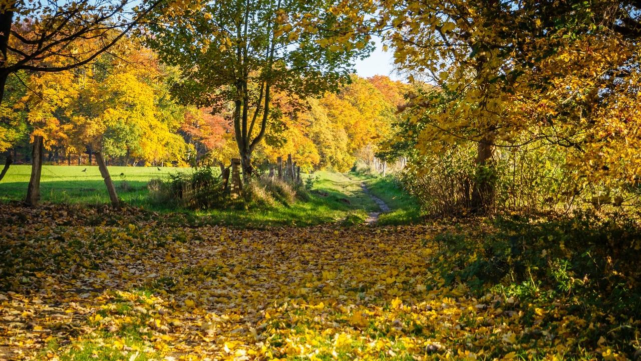 O8kfzu8wRYqTZPgLAynQ_alexander-schimmeck-jd-g6wRMKWc-unsplash